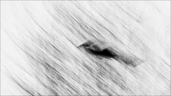 Жизнь вокруг / ***