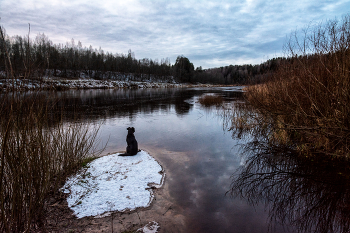 Жизнь вокруг / ***