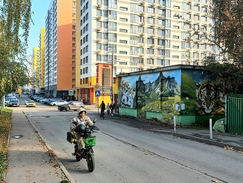 Видное (Московская область) / ***