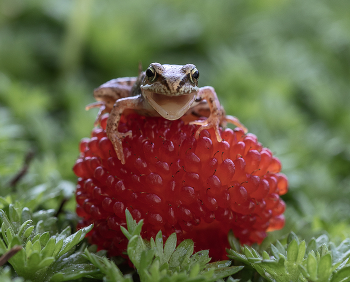 Моё!!! / Моё!!!