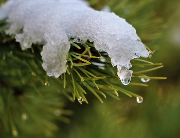 15 ноября / ***