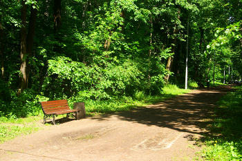 Кузьминский парк / Кузьминский парк в Москве. Май 2024.