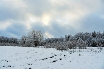&quot;Ноябрь месяц - это тоже осень, хоть грустный и тоскливый он ...&quot; / &quot;То снег, то слякоть, будто и не осень,
 И небо все закрыли облака,
 Лишь иногда сквозь тучи видно просинь,
 А то, как будто, тучи на века ...&quot;
 И.Расшивалова