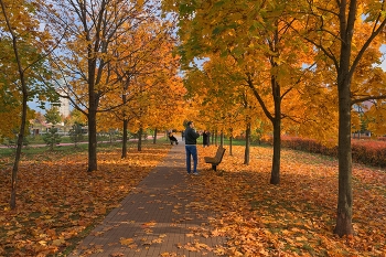 Осень на Ходынке / Москва, октябрь