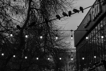 Не зажглась / ***