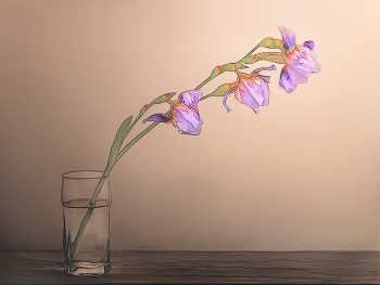 хочу весну / ирис