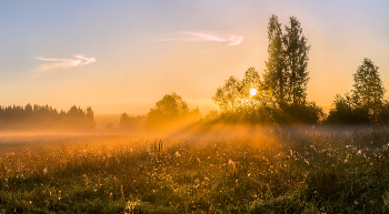Из серии «Пейзажные картины» / Из фотопроекта «Магия Ленинградской области».