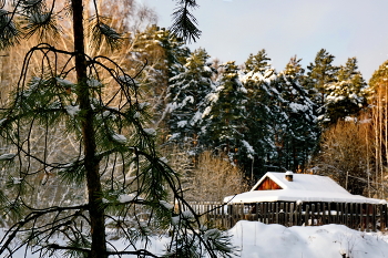 Ноябрьским днём. / *Томская область.**