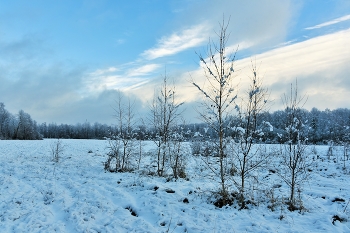 &quot;А осень ушла, хоть порой и не верится ...&quot; / &quot;А осень ушла, хоть порой и не верится,
 Уже отзвенел, отшумел листопад.
 Уже не вернется, не стоит надеяться,
 Под снегом опавшие листья лежат ...&quot;
 И.Расшивалова