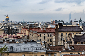 Питерские доминанты / ***