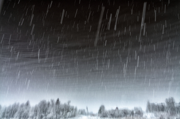 Жизнь вокруг / ***