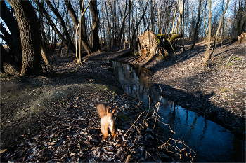 последнее фото / с флешки найденного в лесу фотоаппарата