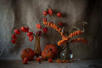 Оттенки рыжей осени... / 03-10-2025.