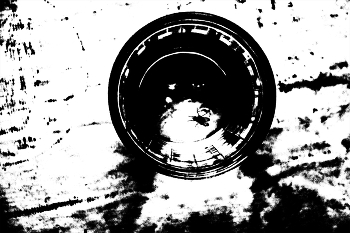 Жизнь вокруг / ***