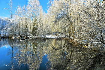 &quot;Уже ноябрь, почти что на исходе ...&quot; / &quot;Проходят дни неспешной чередой,
 Уже ноябрь, почти что на исходе,
 Он постарел, почти что весь седой,
 Но седина сегодня даже в моде ...&quot;
 И.Расшивалова