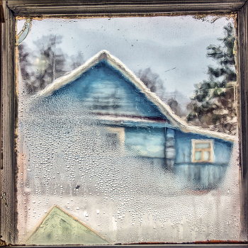 Жизнь вокруг / ***