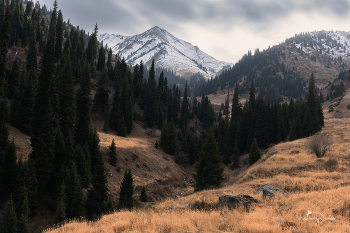 Осенняя живопись... / Тянь-Шань
г. Алматы