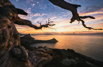 &nbsp; / Крым. Новый свет