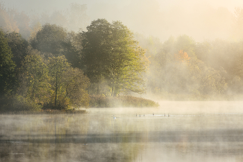 &nbsp; / Осеннее утро. РБ, Верхнедвинский район, деревня Росица. Октябрь 2025г.