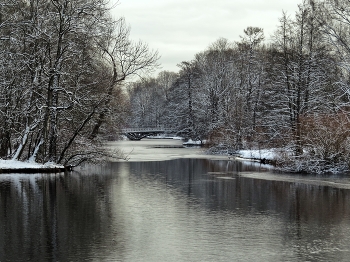 утро ноября / Елагин остров, ЦПКиО им. С.М. Кирова