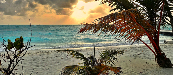 На берегу радости и впечатлений / На берегу радости и впечатлений