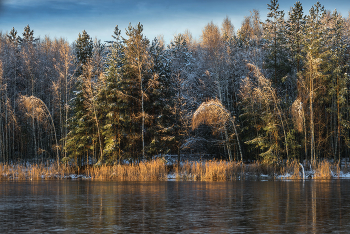 С перволедьем. / Первый снег и первый лёд... и вот опять.