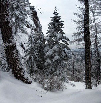 Зима на Столбах / ***