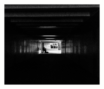 Долгожитель / Территория