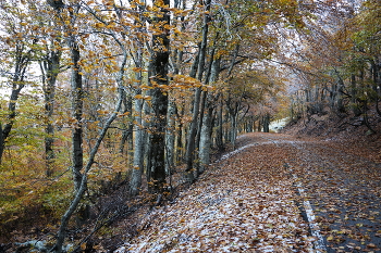 Между осенью и зимой / ***