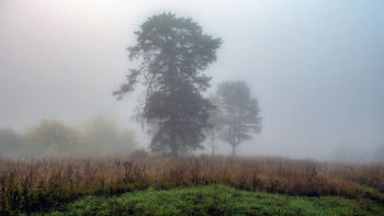 &nbsp; / Осенние туманы