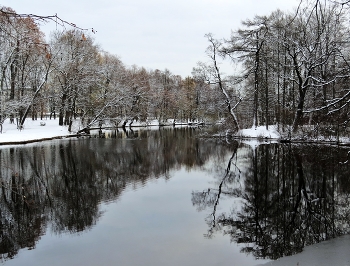 ноябрь / Елагин остров, ЦПКиО им. С.М. Кирова
