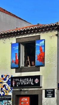 &nbsp; / Цветы ли это ? Если тапасы от k ANIBAL😳🤪