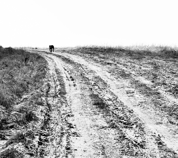 &quot;Дорогу осилит идущий ...!&quot; / &quot;Черно-белые чувства,
 Черно-белые мысли,
 Черно-белая жизнь ...&quot;