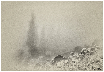 &nbsp; / А такая муть сойдёт за муть?