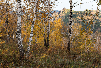 Осенней порой / Торгашинский хребет