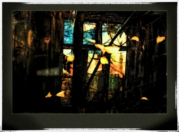 &nbsp; / репост