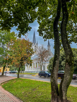 За деревьями виднеется костёл / 2024 / Мобильная фотография / iPhone 13 Pro