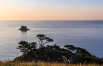 Ветер шалун / ***