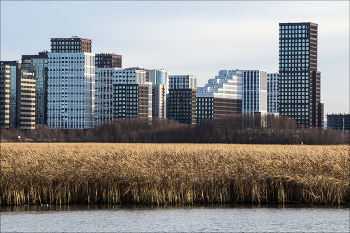 не то / На фотографии изображён городской пейзаж, сочетающий урбанистическую архитектуру и элементы природы.

На переднем плане — широкая полоса камыша или тростника золотисто-коричневого оттенка, растущего вдоль кромки воды. Вода спокойная, отражает приглушённый свет, создавая ощущение тишины и умиротворённости.

За полосой растительности располагается линия деревьев без листвы, что может указывать на позднюю осень или раннюю весну. Деревья служат своеобразной границей между природой и городом.

На заднем плане возвышаются современные многоэтажные здания, преимущественно жилые комплексы. Архитектура отличается разнообразием