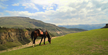 &nbsp; / Дагестан, Хунзах