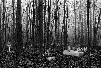 Кладбище домашних животных / Опавшие листья раскрыли секрет небольшой рощицы на окраине микрорайона