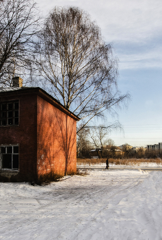 Прорасло... / ***