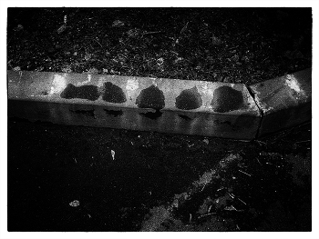 &quot;Уселись&quot; / Кому не приглянулись прошлые голуби (не зажглась) - возможно приглянутся нынешние.