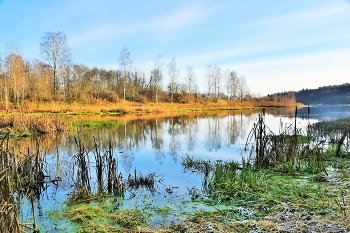 &quot;Все будто просто спит, ни звуков, ни движений ...&quot; / &quot;Все будто просто спит, ни звуков, ни движений;
 И тишина стоит, она, как настроенье ...&quot;
 И.Расшивалова