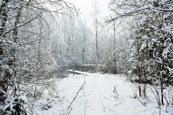 &quot;Мы стоим на пороге зимы и декабрь уже на подходе...&quot; / &quot;Мы стоим на пороге зимы
 И декабрь уже на подходе.
 Взять бы год у природы взаймы,
 Чтоб еще погулять на природе ...&quot;
 И.Расшивалова