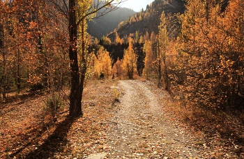 Была осень ... / ***