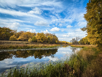 Неба осеннего в реке отражение. / ***
