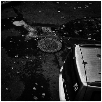 Знаки / Мой пёсель опять приходил. И опять не на долго. Это уже третья фотография с ним. То он бежит за человеком, то он бежит по кругу за котом, а тут он решил прикинуться знаком на стекле машины.