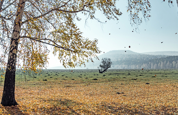 Дуновение осени / ***