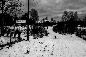 Жизнь вокруг / не лит-печать